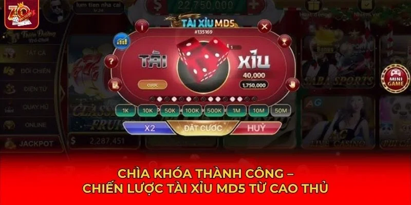 Chiến lược chiến thắng trong tài xỉu MD5 từ cao thủ